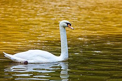 《地平线：西之绝境》女主登上时尚杂志封面 好美丽